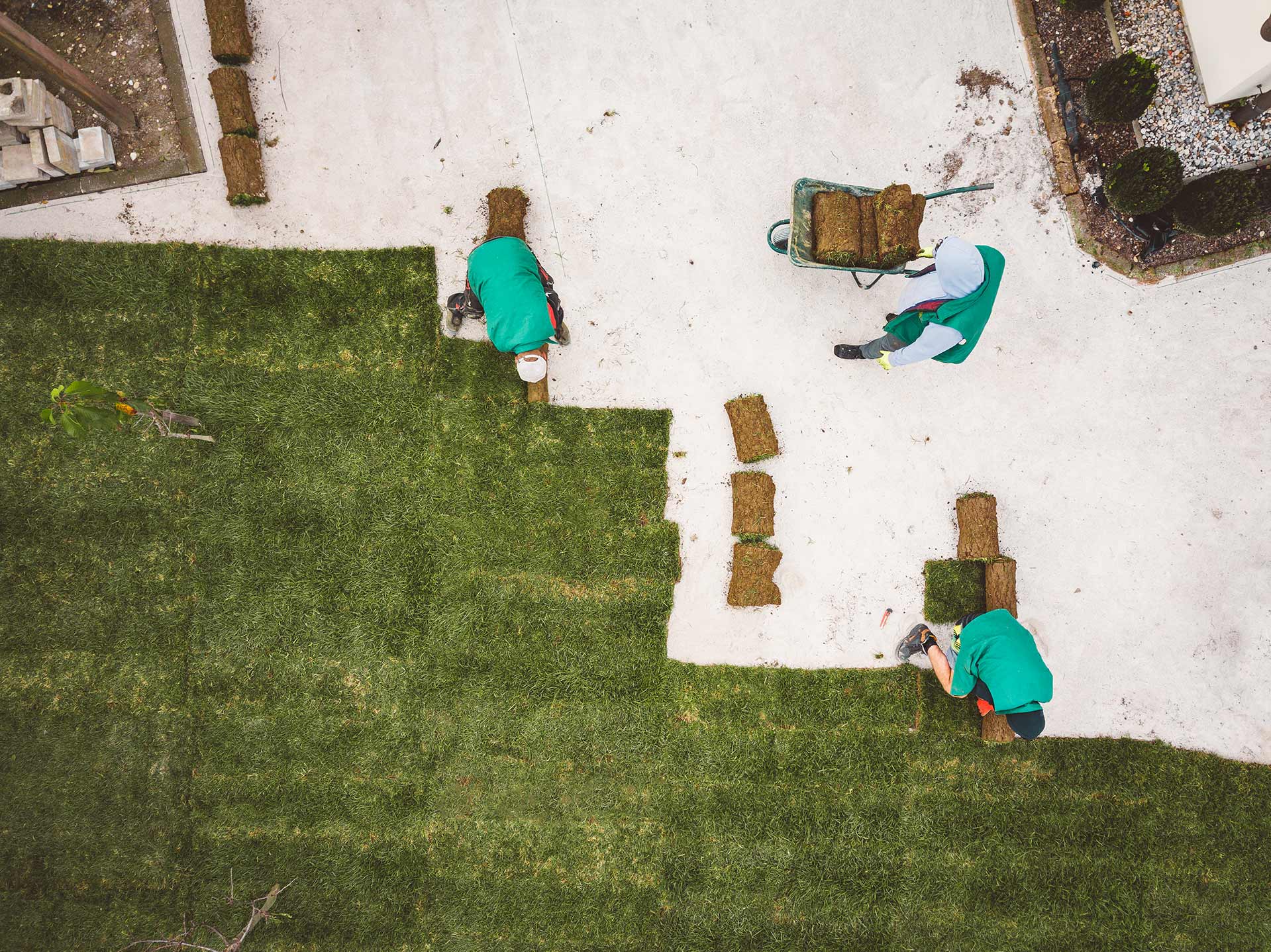 Tre män anlägger en gräsmatta